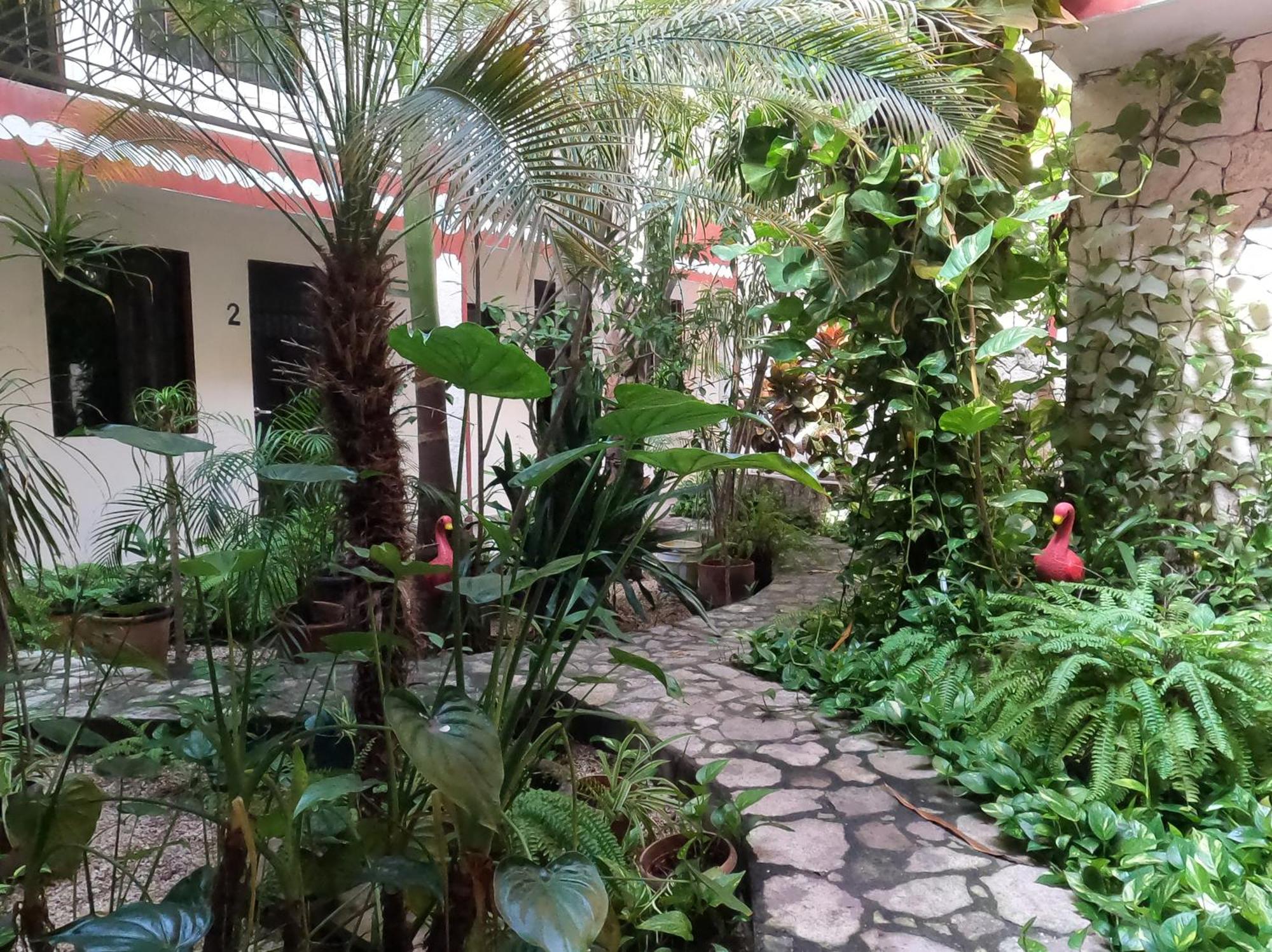 Hotel Quinta Marciala Mx Βαγιαδολίδ Εξωτερικό φωτογραφία